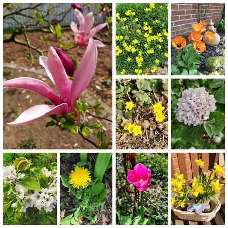 Blumen